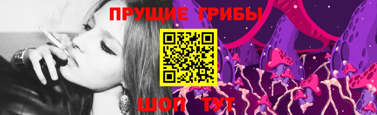 как найти наркотики  Псилоцибиновые грибы Psilocybe  Кизилюрт  Вход с VPN  Галлюциногенные грибы MAGIC MUSHROOMS 