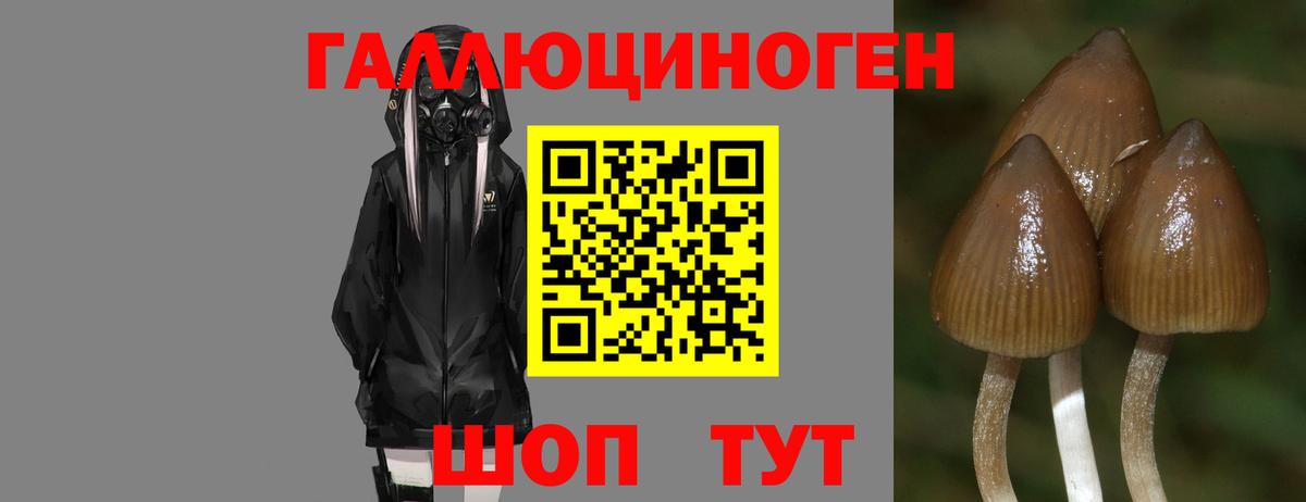 Галлюциногенные грибы мухоморы Кизилюрт